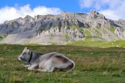 Passo San Pellegrino